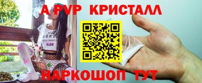 стафф Дубна