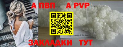 спиды Донской