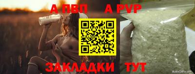 спиды Донской