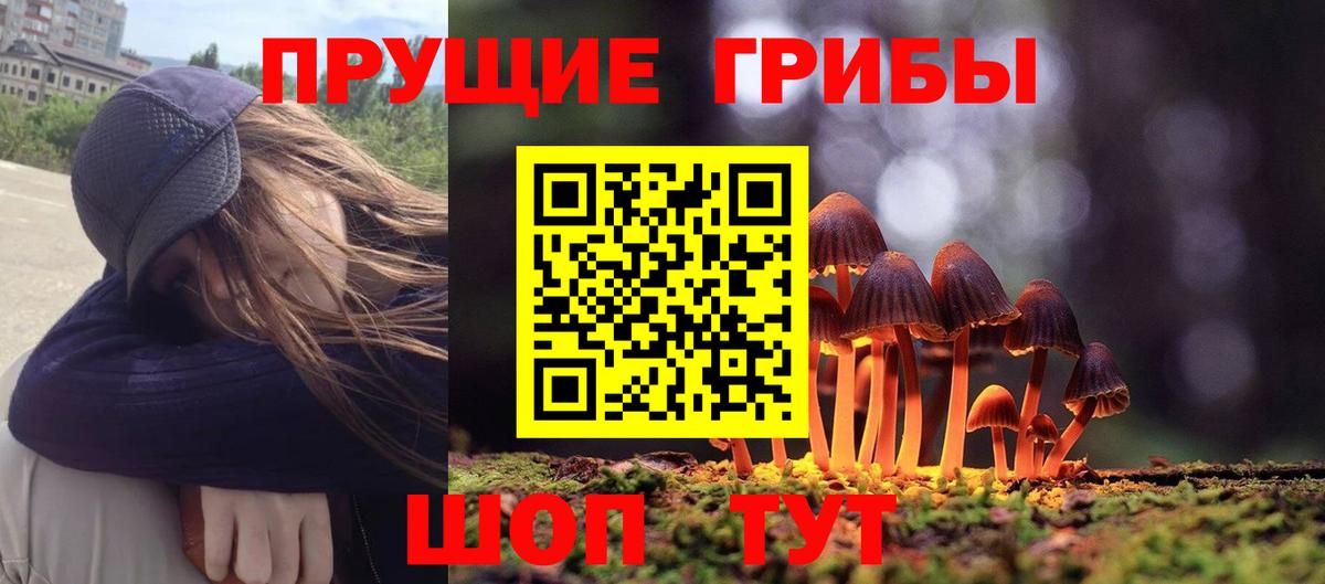 Псилоцибиновые грибы Psilocybe Лабинск